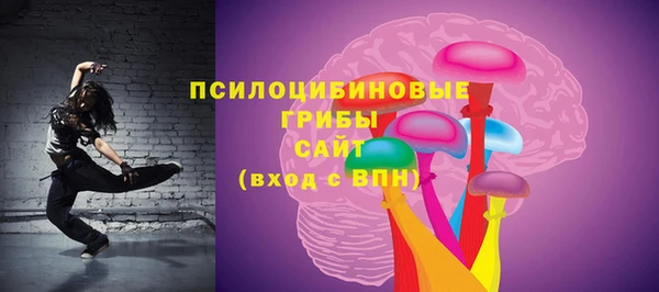ПСИЛОЦИБИНОВЫЕ ГРИБЫ Аркадак
