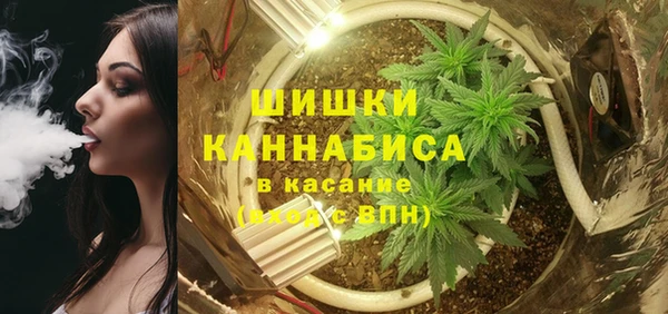 крисы Арсеньев