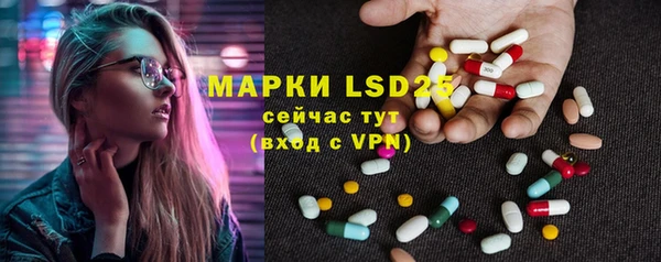 ПСИЛОЦИБИНОВЫЕ ГРИБЫ Аркадак