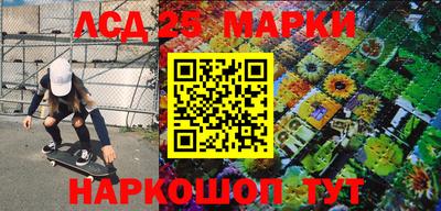 гидра Вязьма