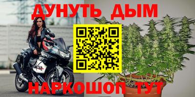 гидра Вязьма