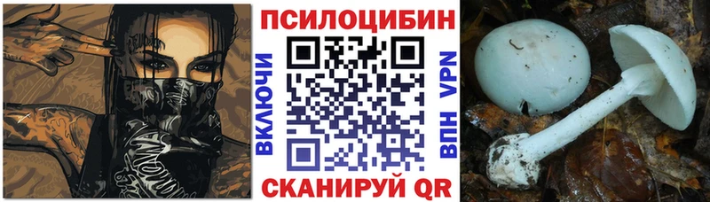 Галлюциногенные грибы MAGIC MUSHROOMS  мега как зайти  Дюртюли 