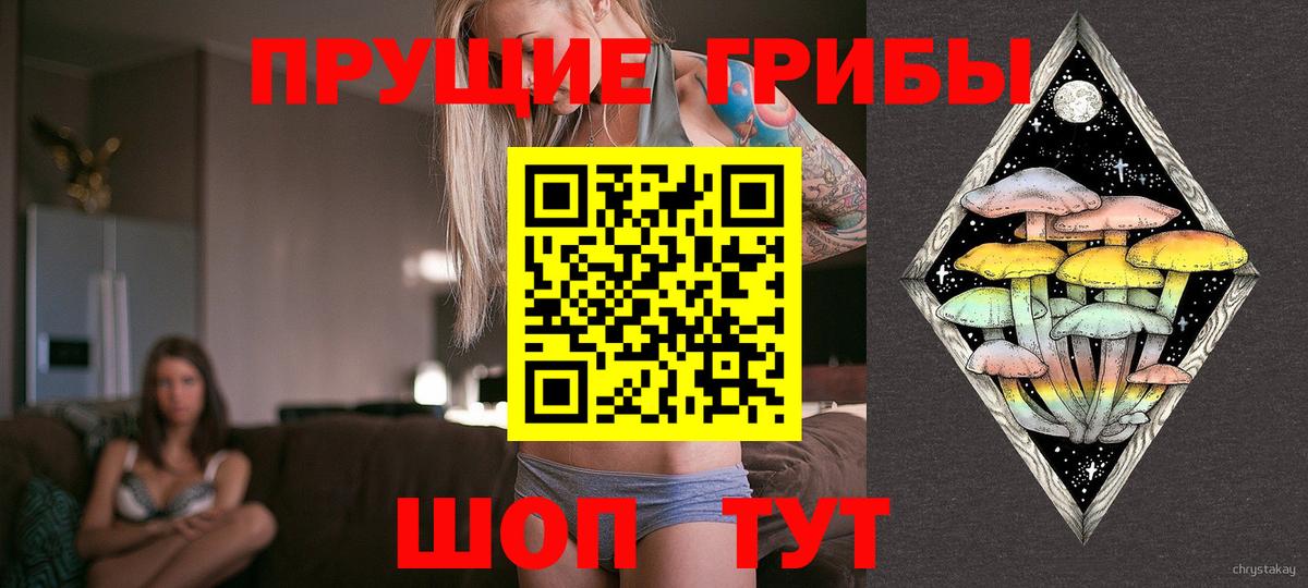 Псилоцибиновые грибы прущие грибы  Галлюциногенные грибы Cubensis  Дюртюли  Вход с VPN 
