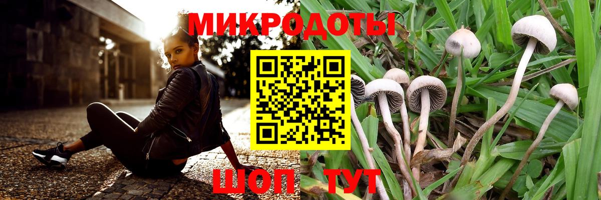 Галлюциногенные грибы GOLDEN TEACHER Дюртюли