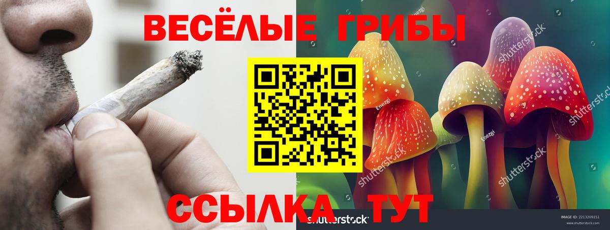 Меф   Гашиш  ЭКСТАЗИ  Дюртюли  МАРИХУАНА  Вход с VPN 